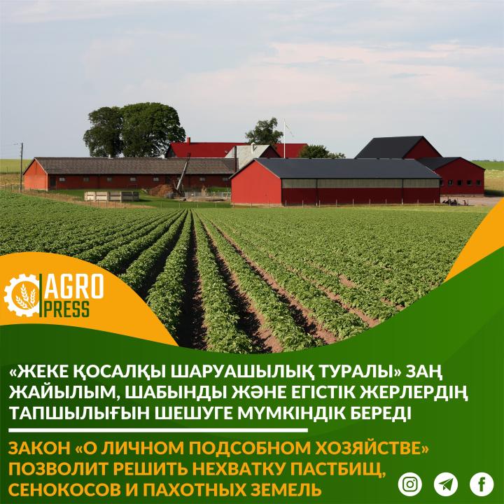 "Жеке қосалқы шаруашылық туралы» заң жайылым, шабынды және егістік жерлердің тапшылығын шешуге мүмкіндік береді"