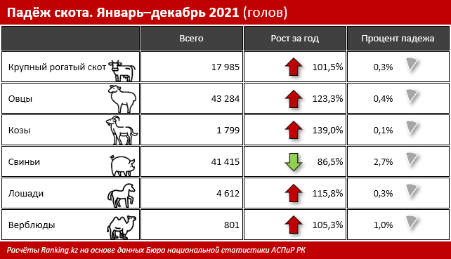 Поголовье скота увеличивается, но это не сдерживает серьёзный рост цен на мясо. Аграрии считают, что причина — в труднодоступности субсидий АПК и системных ошибках в этой сфере.