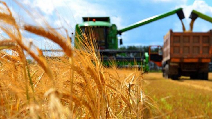Изменения в правила субсидирования сельского хозяйства представил Минсельхоз Казахстана.