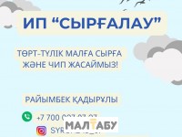 Төрт түлік малға сырға және чип жасаймын.